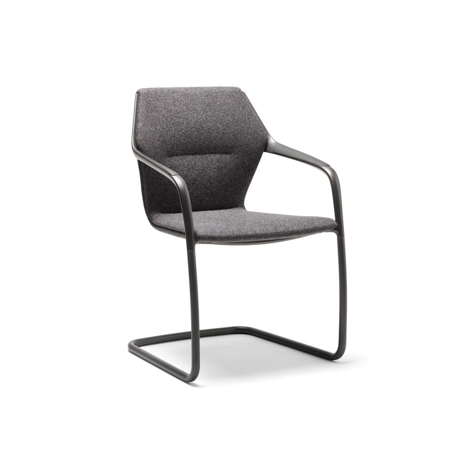 Ray Cantilver Chair