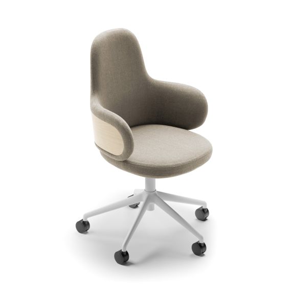 Lan Desk Chair Standard Backrest, Home Office Desk Chair